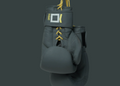 RUSHIO Boxing Gloves - Duel Lock - Engineered Leather