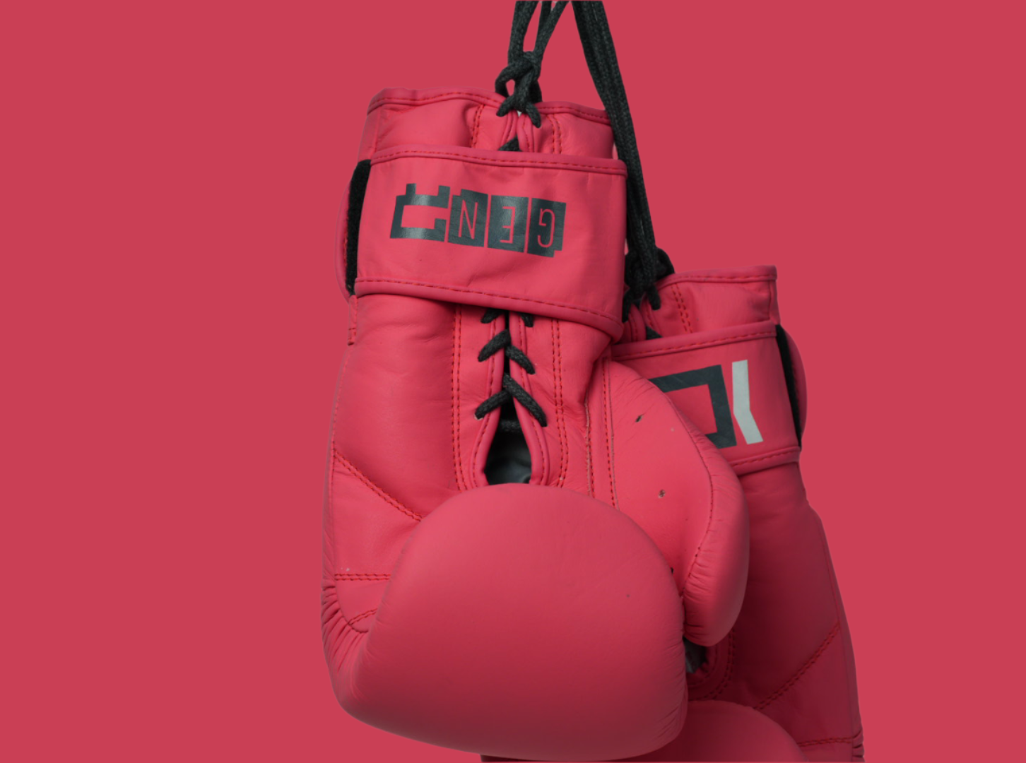 RUSHIO Boxing Gloves - Duel Lock - Engineered Leather