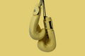 RUSHIO Boxing Gloves - Duel Lock - Engineered Leather