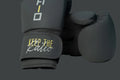 Solid Gray RUSHIO Boxing Gloves